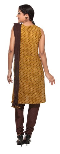 Trishaa Women's Salwaar Kameez Set with Embroidered Yoke - Back