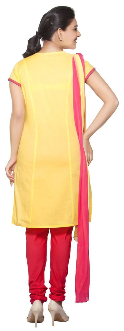Trishaa Women's Salwaar Kameez Set- Embroidered Neck Yoke ÛÒ Back