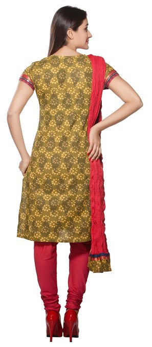 Trishaa Women's Salwaar Kameez Set- Sequinsed Neck Yoke & Sleeve Border ÛÒ Back