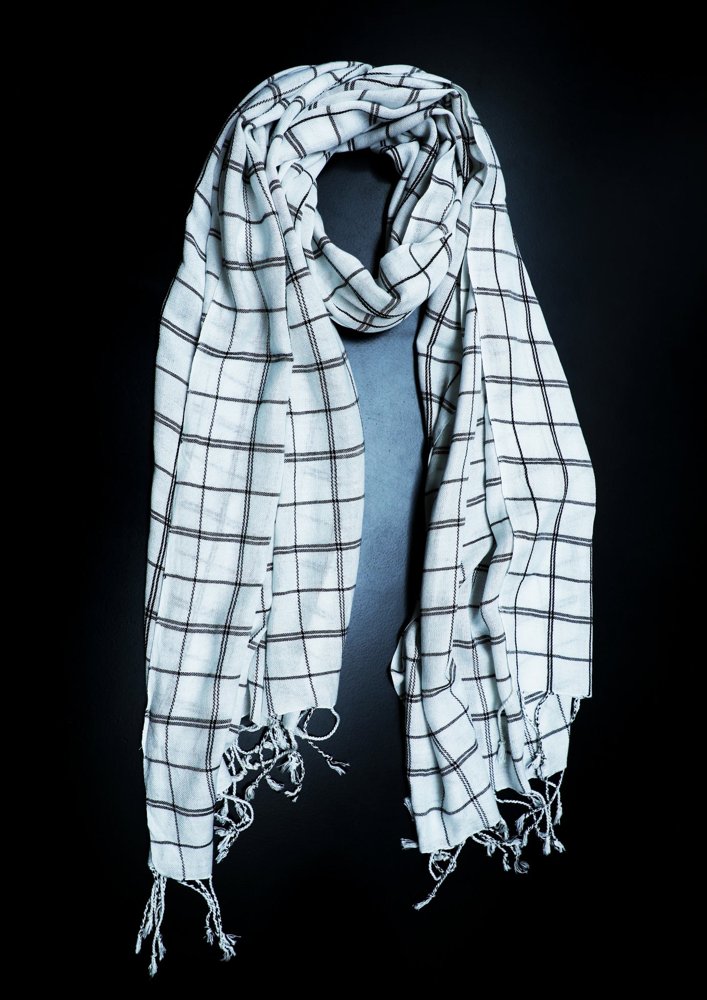 Handwoven Artisan Crafted Checkered Pattern Scarf Stole; White