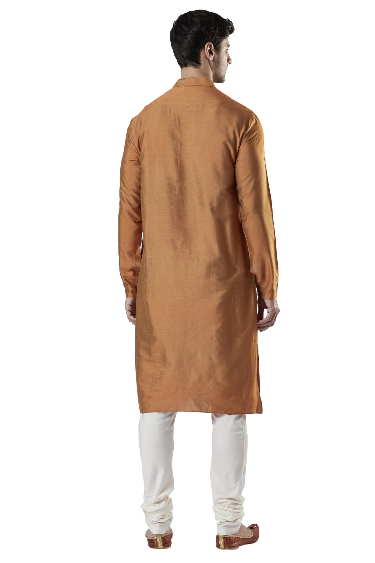 Ethnix Men's Beige Classic Silk Blend 2-Piece Kurta Pajama Set, back full-length view