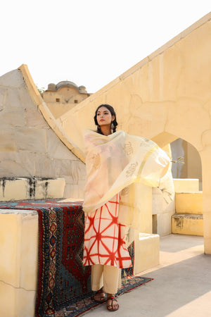 Woman wearing a In-Sattva gold cotton dupatta with gold block print and tassels