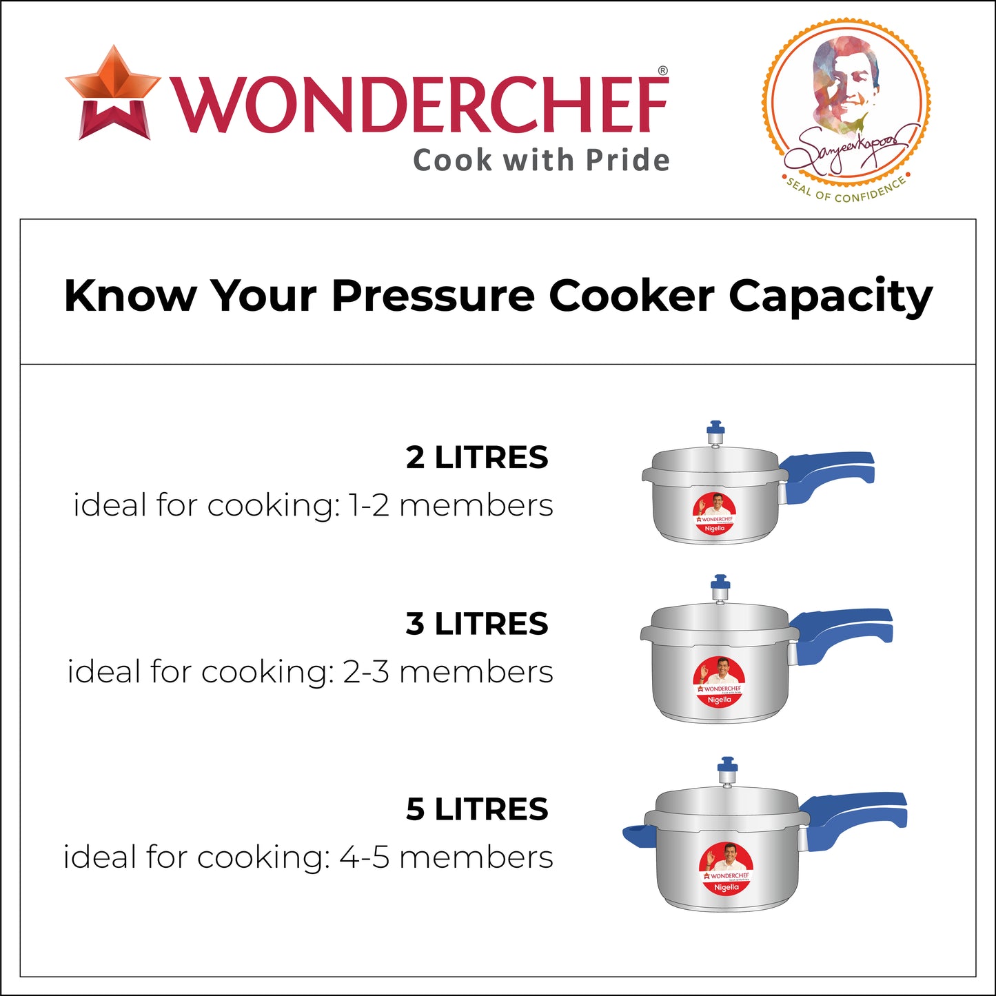 Nigella stainless steel outer lid pressure cooker in silver and blue, product information