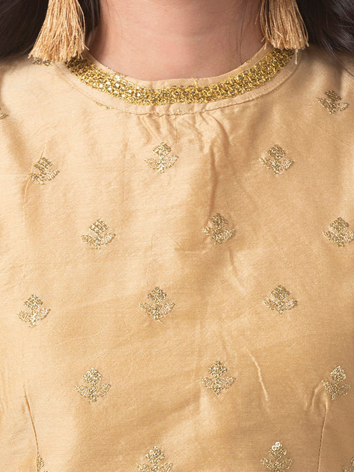 Ethnicity Embroidered Gold Crop Top with Button-down Back