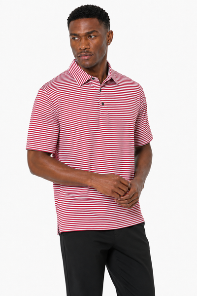 AVA Athletica Men's Polo Collar Moisture-Wick Active Wear Fine Striped T-Shirt Red