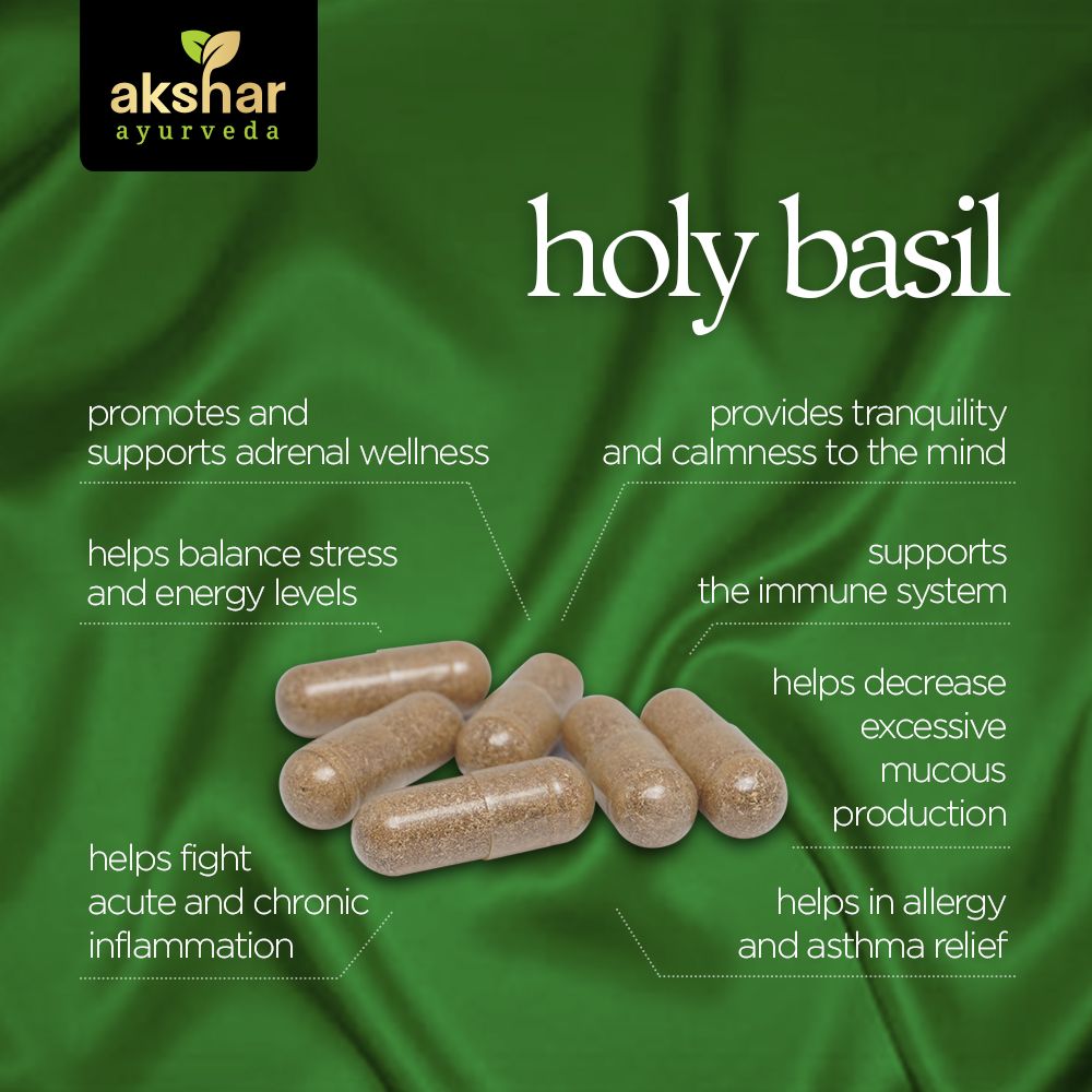 Akshar Ayurveda Holy Basil Tulsi 500mg supplement, 60 vegan tablets benefits infographic for stress and immune wellness support