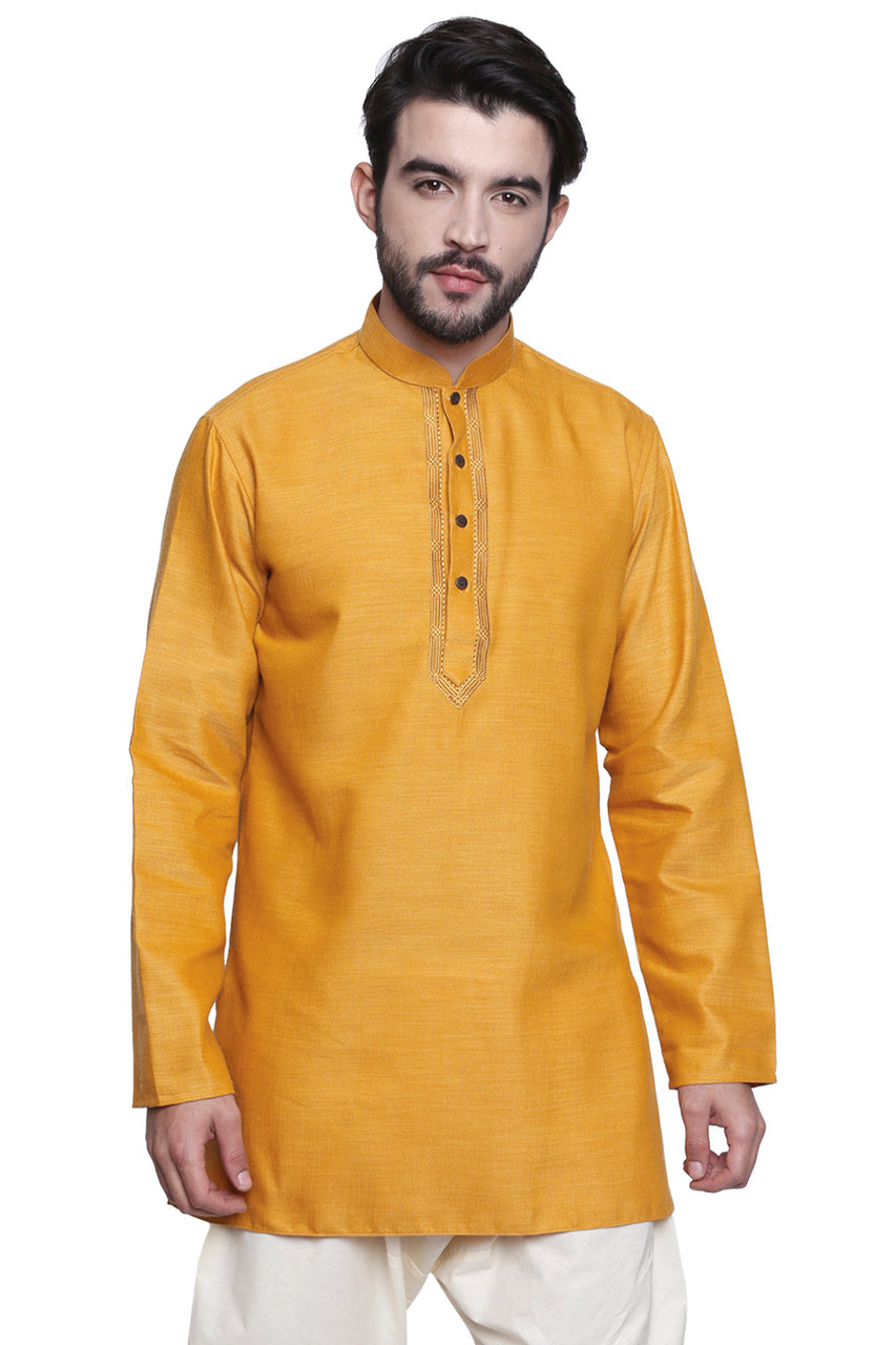 Men's embroidered cotton blend knee-length kurta, back view.