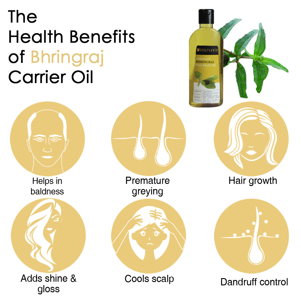 Soulflower Bhringraj Ayurvedic Hair Oil benefits infographic for hair growth and scalp nourishment
