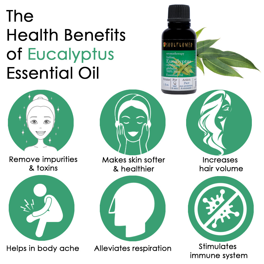 Soulflower Eucalyptus Essential Oil for aromatherapy benefits infographic for refreshing aromatherapy and breathing comfort