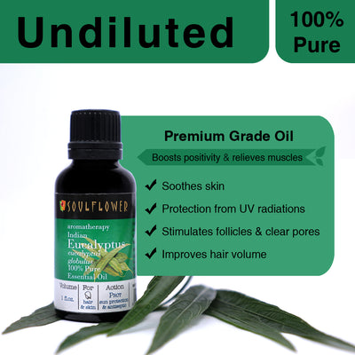 Soulflower Eucalyptus Essential Oil for aromatherapy undiluted premium-grade oil benefits infographic