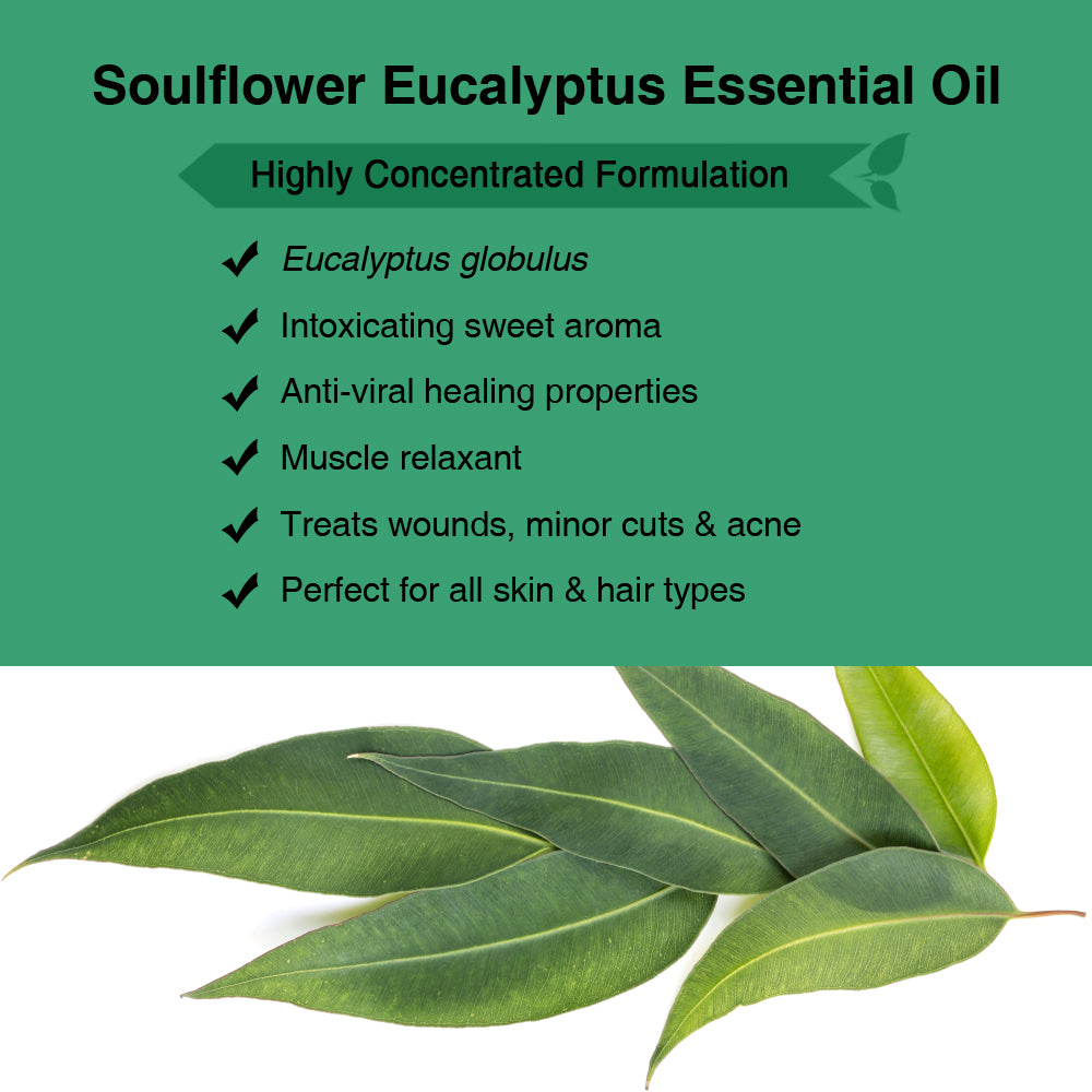 Soulflower Eucalyptus Essential Oil for aromatherapy ingredients and formulation infographic