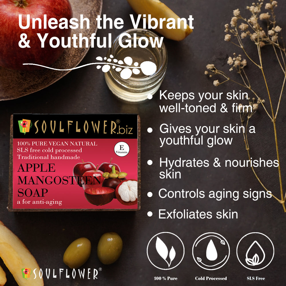 Soulflower Mangosteen Apple Handmade Soap, pack of 2 benefits infographic for gentle exfoliation and nourishing skin care