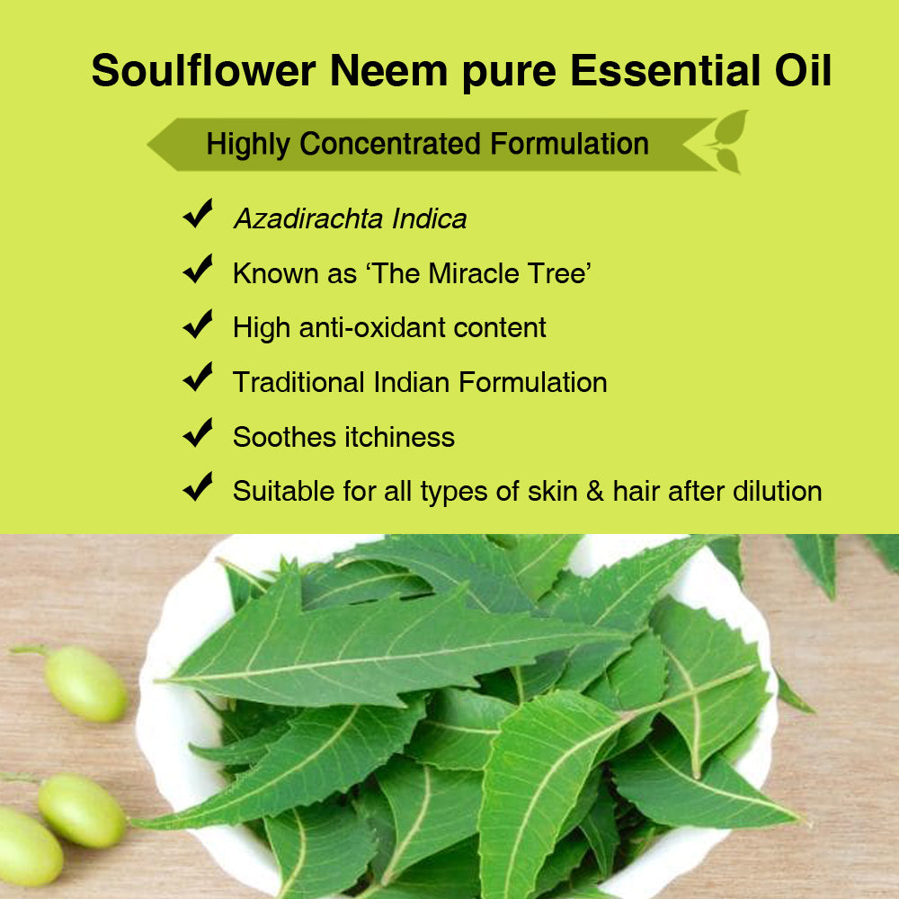 Soulflower Neem Essential Oil for scalp and skin care ingredients and formulation infographic
