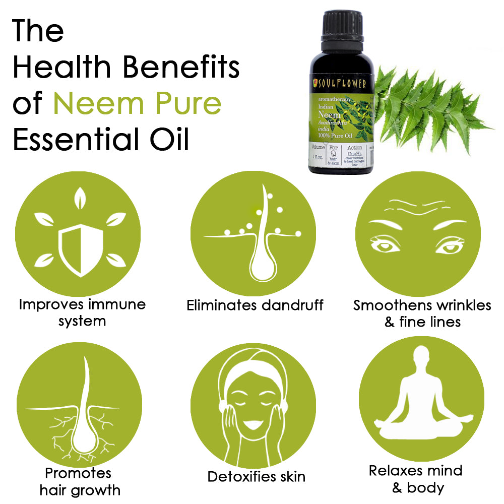 Soulflower Neem Essential Oil for scalp and skin care benefits infographic for scalp and skin care