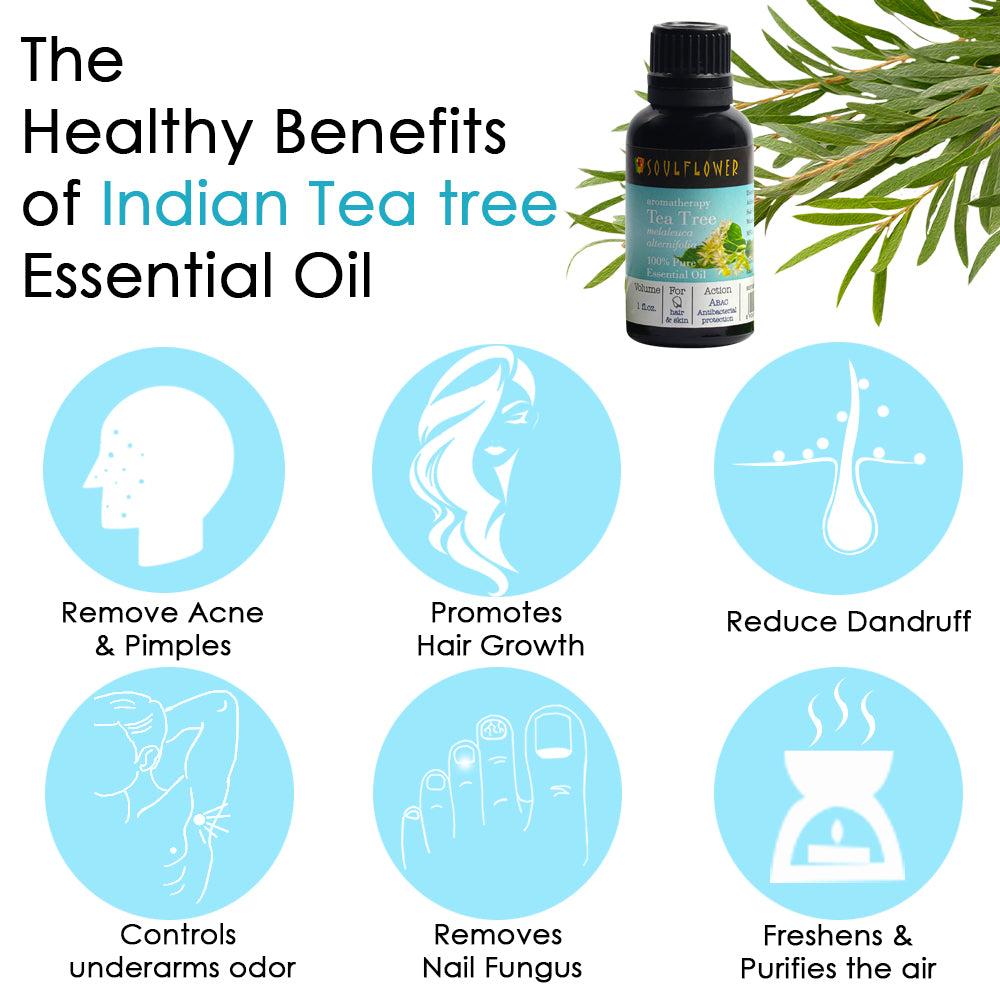 Soulflower Tea Tree Essential Oil for scalp and skin care benefits infographic for scalp and skin care